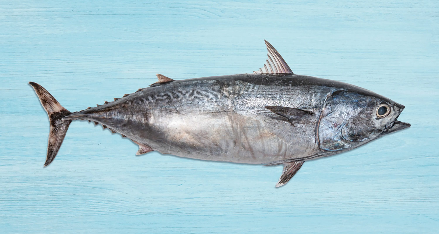 International seafood buyers